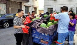 湘乡吃瓜事件始末,一场网络热议背后的真相与反思