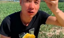 吃瓜的样子真好看,品味人生，笑看风云