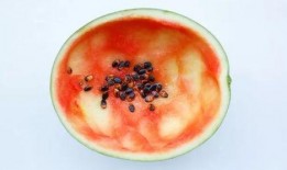 勺子吃瓜圆的,探寻传统美食的独特魅力