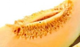 早孕吃蜜瓜,甜蜜滋味中的孕期营养之道