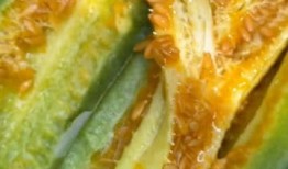 大家看吃瓜视频,娱乐圈幕后故事大曝光