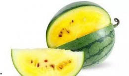 最佳吃瓜创意照,最佳吃瓜创意照，笑料横生，趣味无限