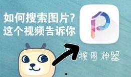 吃瓜看视频水印