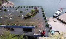 吃瓜有鱼塘,揭秘网络热点的背后故事