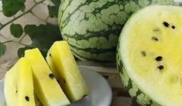 吃皇冠瓜,尽享夏日清凉盛宴