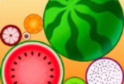 为了吃而吃瓜的成语,为了吃而吃瓜的成语解读