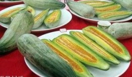 日本酥瓜怎么吃,日本酥瓜的多重美味吃法揭秘