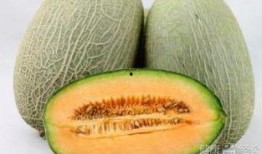 睡觉前吃哈密瓜会水肿吗