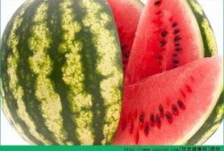 角瓜为什么不能总吃呢,为何角瓜不宜频繁食用