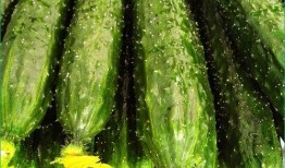 吃老蓝瓜好处,养生佳品，健康生活必备之选”