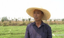 沭阳吃瓜最新,揭秘当地特色美食背后的故事