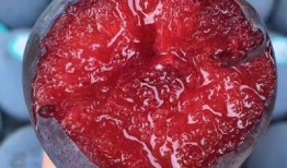 新疆网纹瓜如何吃,多味食法，尽享夏日清新