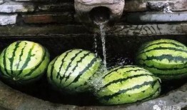 勺子不锈钢吃瓜