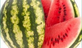 天天吃瓜网,天天吃瓜网带你领略明星幕后故事