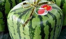 台湾媒体吃瓜