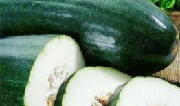 带你吃瓜带你吃瓜是什么