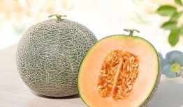 吃的什么瓜哈密瓜好吃