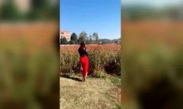 吃瓜神探简介,揭秘娱乐圈背后的神秘故事