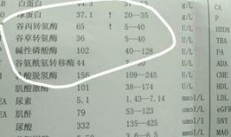 转氨酶高吃小瓜,健康生活新选择