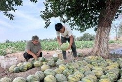 吃瓜十五年,见证娱乐圈风云变幻