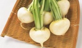 吃夏瓜,探寻夏瓜的清凉魅力