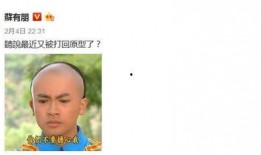 吃瓜格格 短剧,宫廷风云中的美食传奇