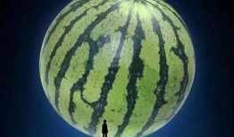 坐等吃瓜的案例,揭秘网络围观现象背后的心理与社会效应