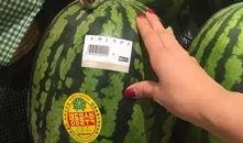 新加坡的吃瓜群众,揭秘本地热门话题背后的故事