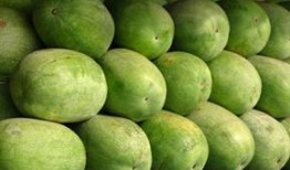 奇怪的知识吃瓜