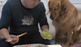 狗头和吃瓜的区别,网络语境下的社交态度解析