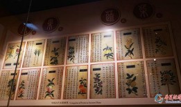 吃瓜古装文学,揭秘古代宫廷秘闻与权谋风云