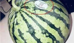 19年网红吃瓜,揭秘娱乐圈幕后真相