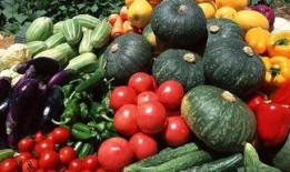 吃脆瓜湿气重吗