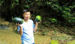 凭良心吃瓜,揭秘娱乐圈背后的真相