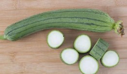 瓜尖吃的季节,夏日消暑美食之旅