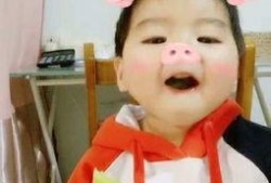 动画小猪吃瓜视频大全