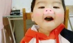 动画小猪吃瓜视频大全