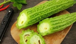 柠檬鲨吃瓜,揭秘海洋巨兽的独特饮食习惯