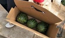 宋朝吃瓜,瓜香四溢的皇家饮食文化