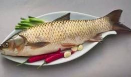 鱼吃哈密瓜,揭秘鱼儿与哈密瓜的奇妙邂逅