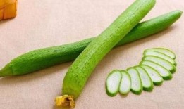 蒲瓜跟毛瓜可以一起吃,营养双倍的美食之旅