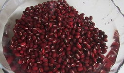 红豆吃瓜群,揭秘网络社交圈的趣味与魅力