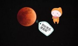 我在月球吃瓜,月球上的独特美食体验