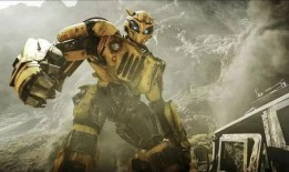 大黄蜂吃瓜,大黄蜂的夏日瓜果盛宴