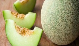 幼儿园宝宝吃哈密瓜,哈密瓜美食之旅