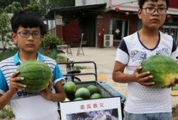 吃瓜盘点00后,揭秘网络热点的青春视角