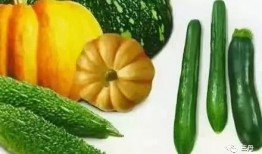 阳性可以吃瓜吗,揭秘病毒与美食的微妙关系