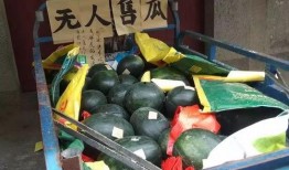 水井吃瓜