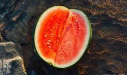 阳性可以吃瓜吗,揭秘病毒与美食的微妙关系