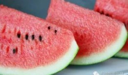 吹着风吃哈密瓜,哈密瓜的清爽之旅